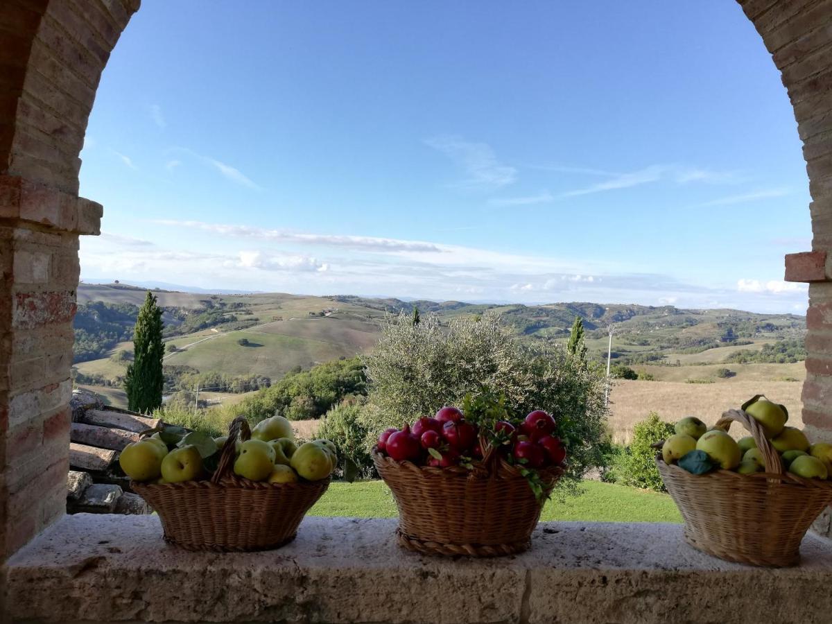 Agriturismo Monsole - モンタルチーノ エクステリア 写真