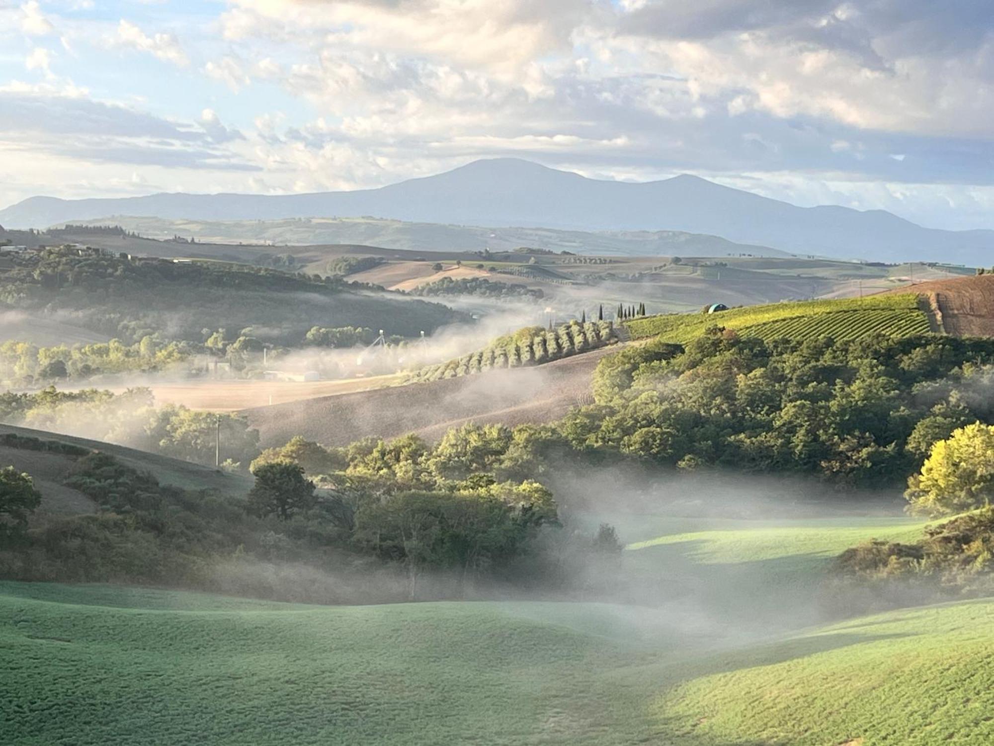 Agriturismo Monsole - モンタルチーノ エクステリア 写真